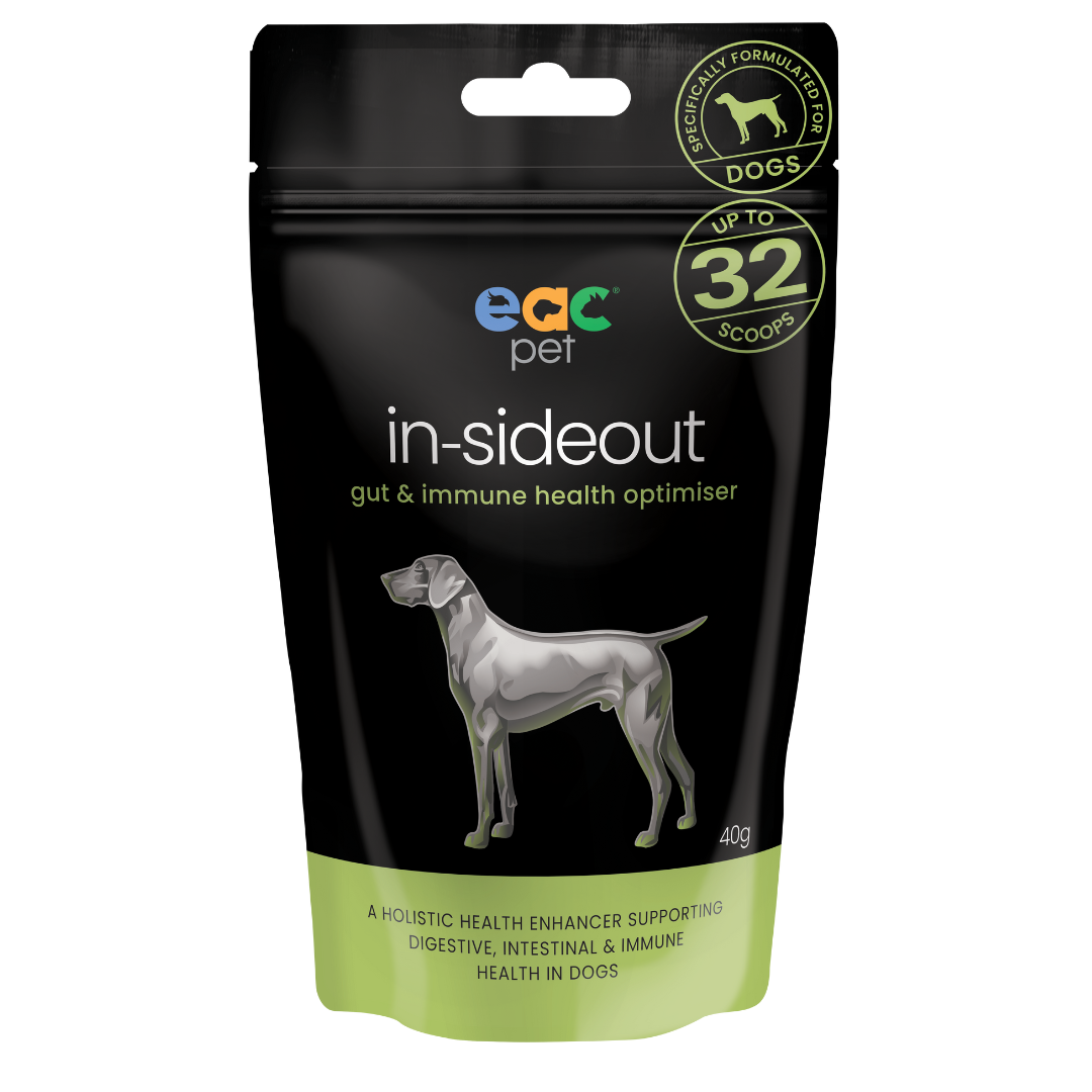 EAC In-Sideout Dog