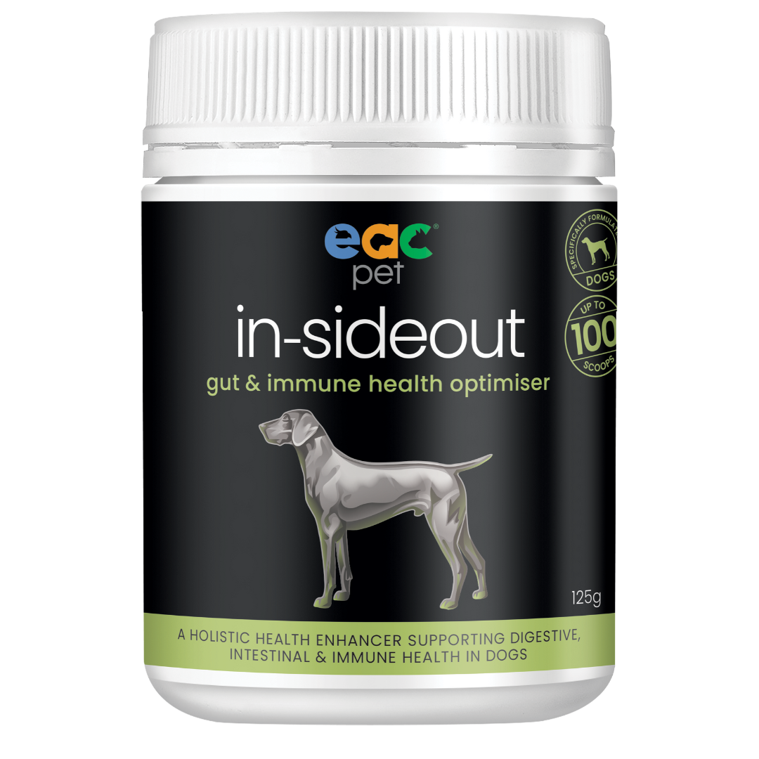 EAC In-Sideout Dog