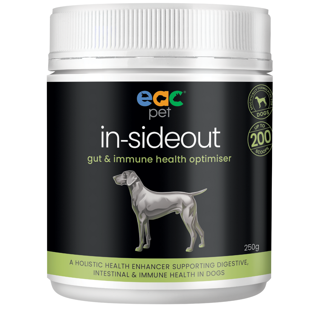 EAC In-Sideout Dog