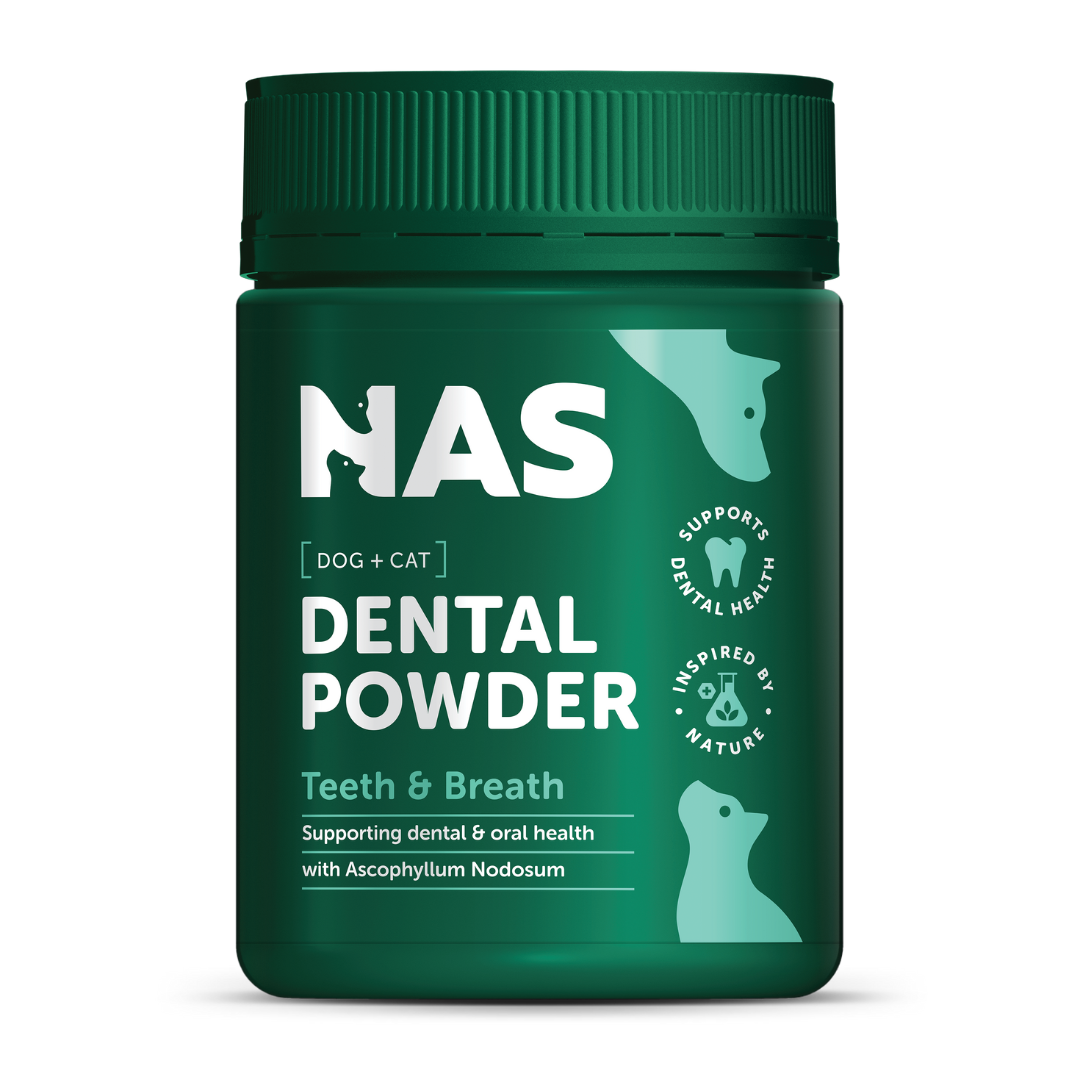 NAS Dental Powder