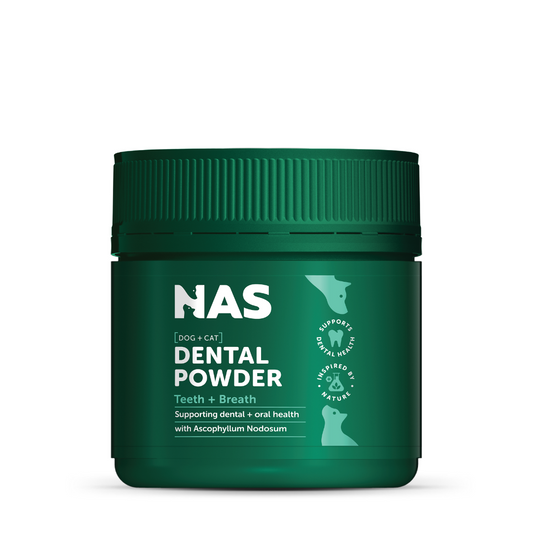 NAS Dental Powder