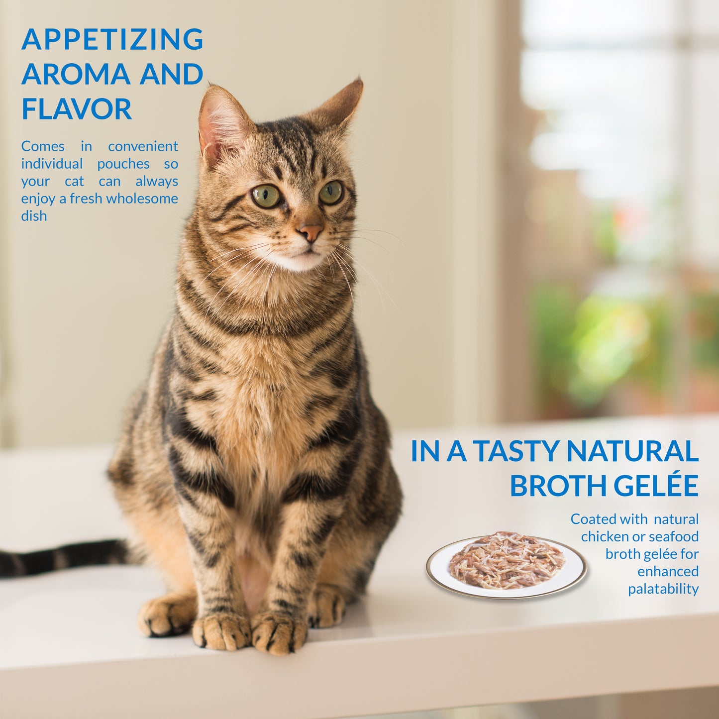 Inaba Cat Twin Packs Chicken in Chicken Broth 80g (6pk)