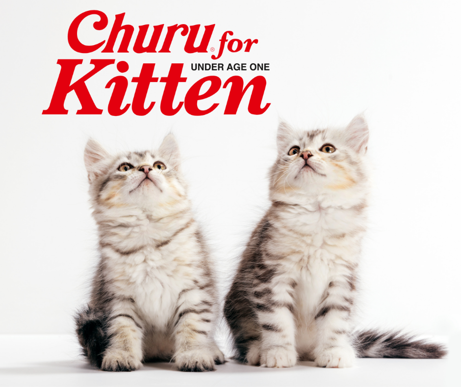 INABA Cat Churu Puree Kitten Chicken 56g (6pk)