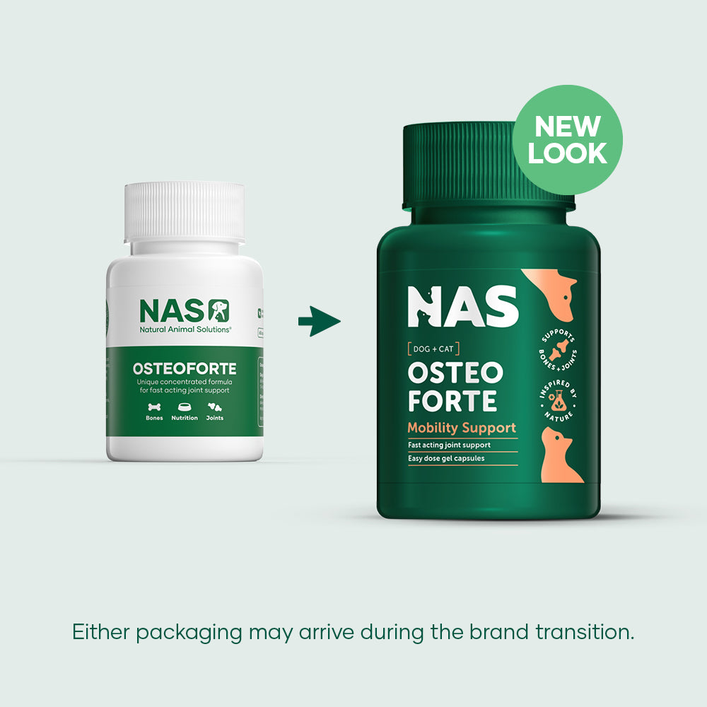 NAS OsteoForte 60 Capsules