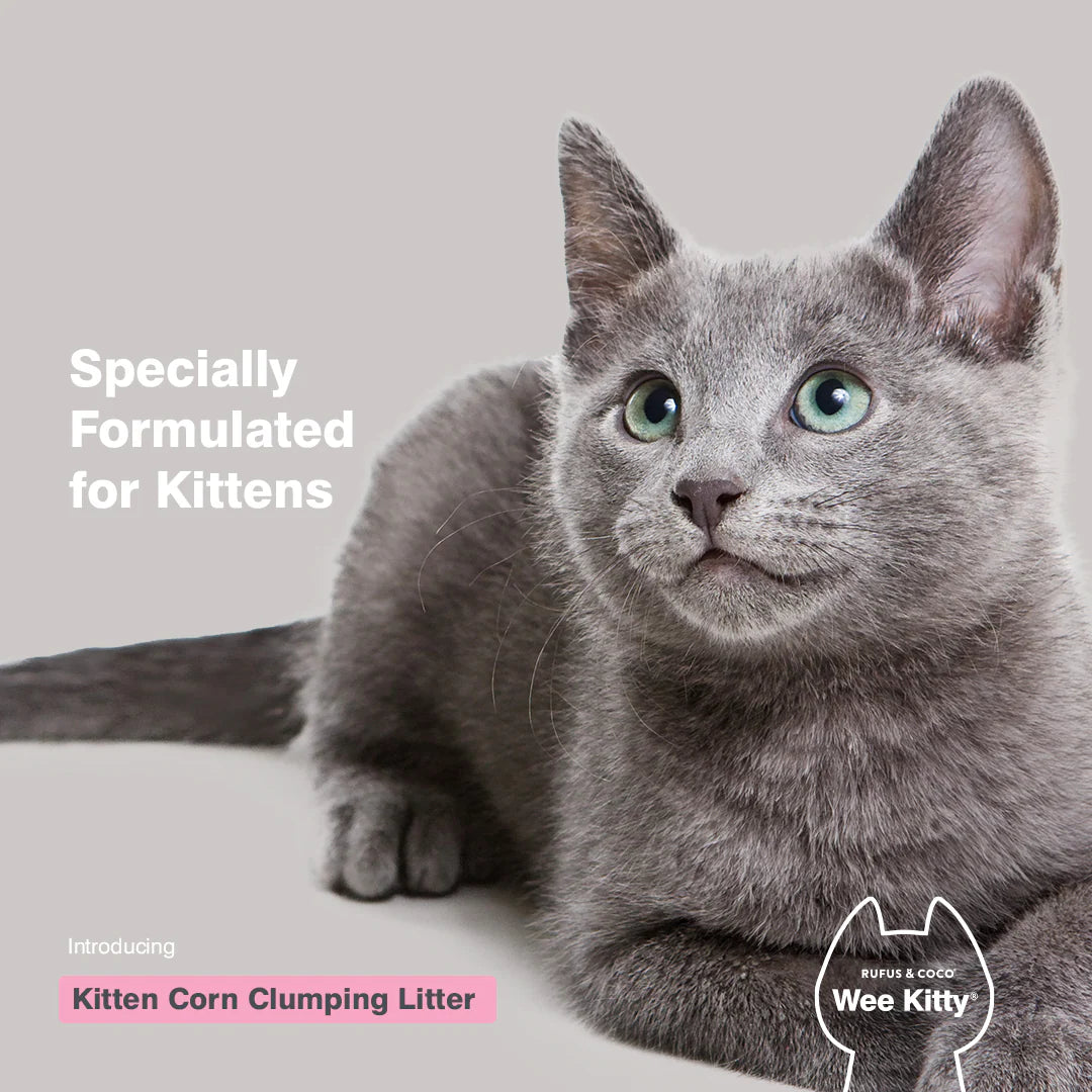 Wee Kitty Kitten Corn Clumping Litter