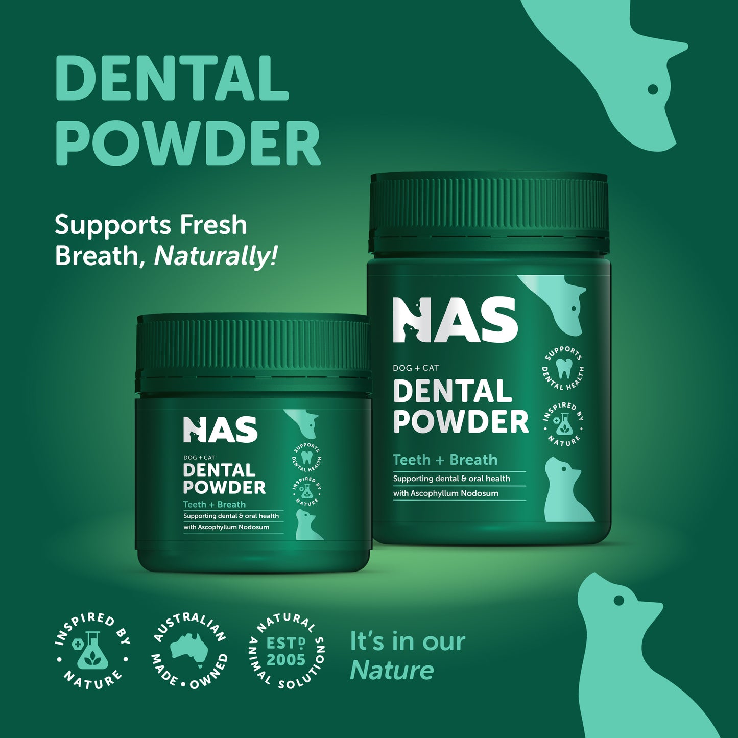 NAS Dental Powder