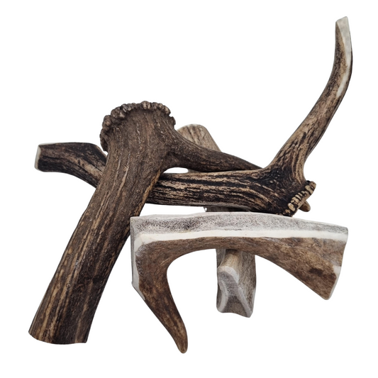 Healthy Pet Co. Antler Split Large