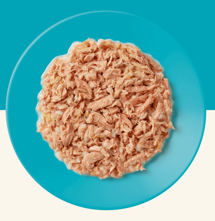 Applaws Cat Tin Tuna Fillet 70g (24pk)