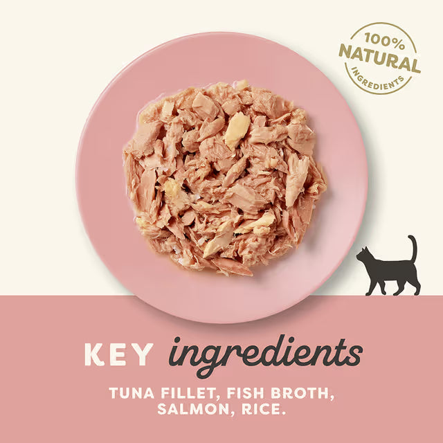 Applaws Cat Tuna Fillet Salmon in Broth 70g (24pk)