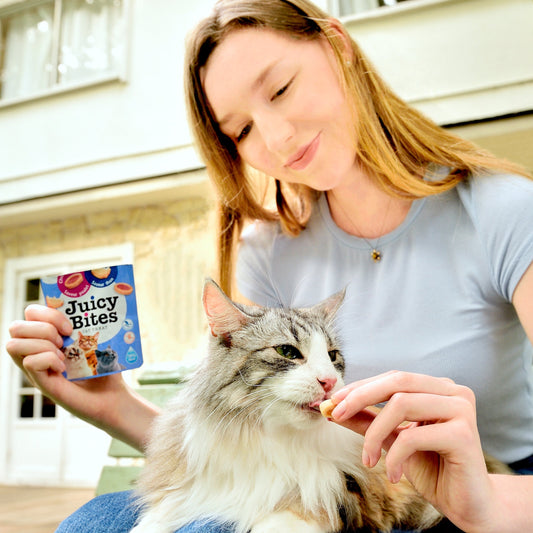 cat eats dental chews with it's owner