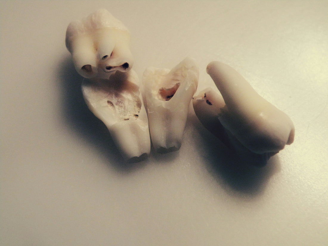 What Is Tooth Resorption In Cats?