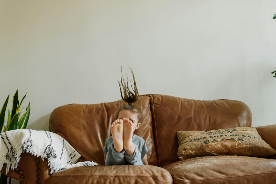 How To Detect Fleas in Your Home and Avoid a Full Flea Infestation