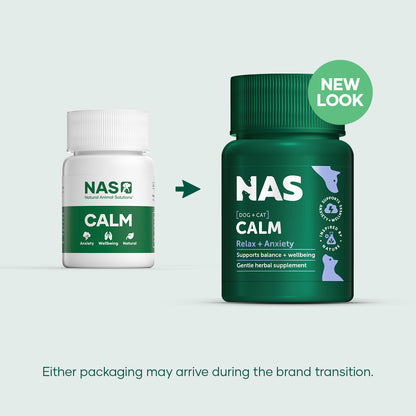 NAS Calm