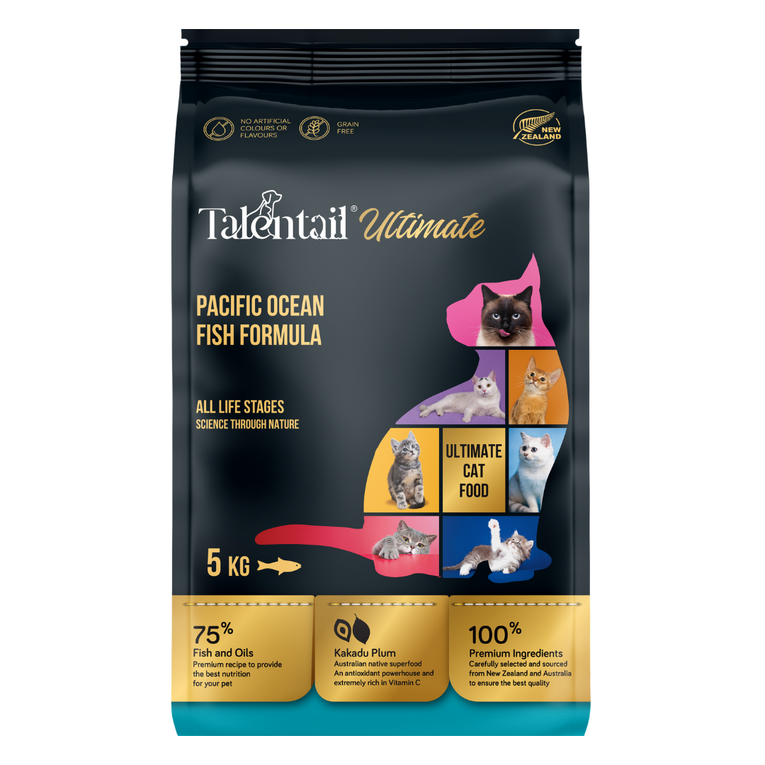 Talentail Ultimate New Zealand Pacific Ocean Cat