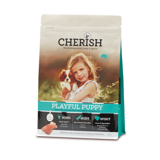 Cherish Playful Puppy
