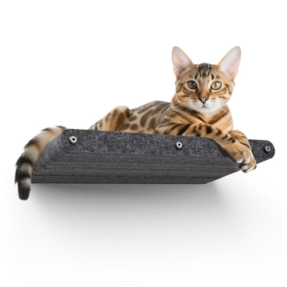 Pryde Pets Wall Meow-nted Cat Climber - Long Shelf