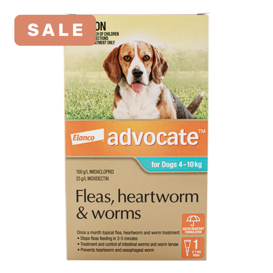 Advocate Dog Medium 4-10kg Teal