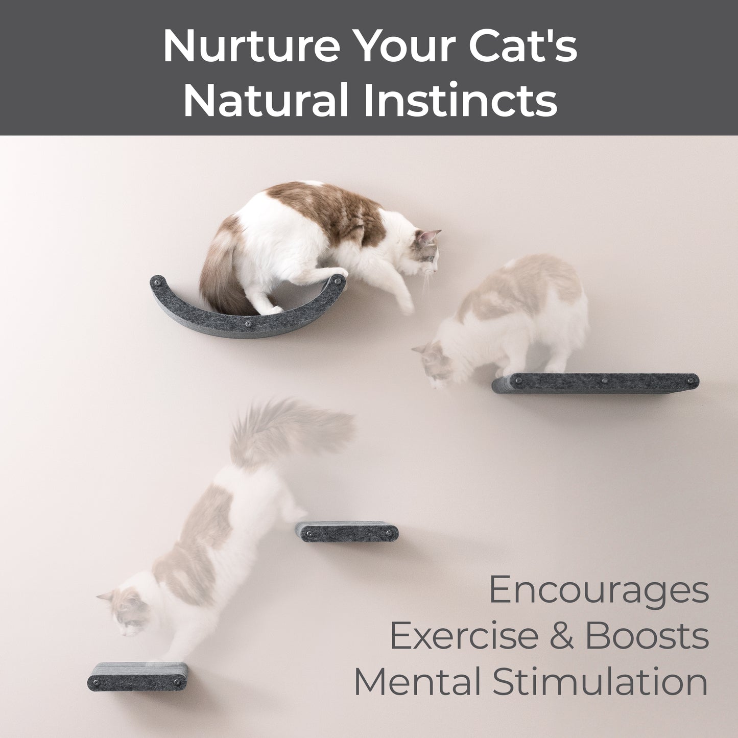 Pryde Pets Wall Meow-nted Cat Climbers - Set of 4 Shelves