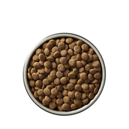 Bowl of kibble with ingredients on a white background