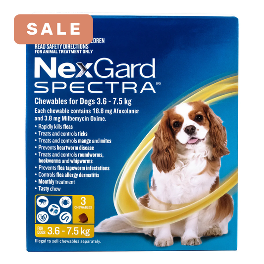 NexGard SPECTRA for Dogs 3.6-7.5kg