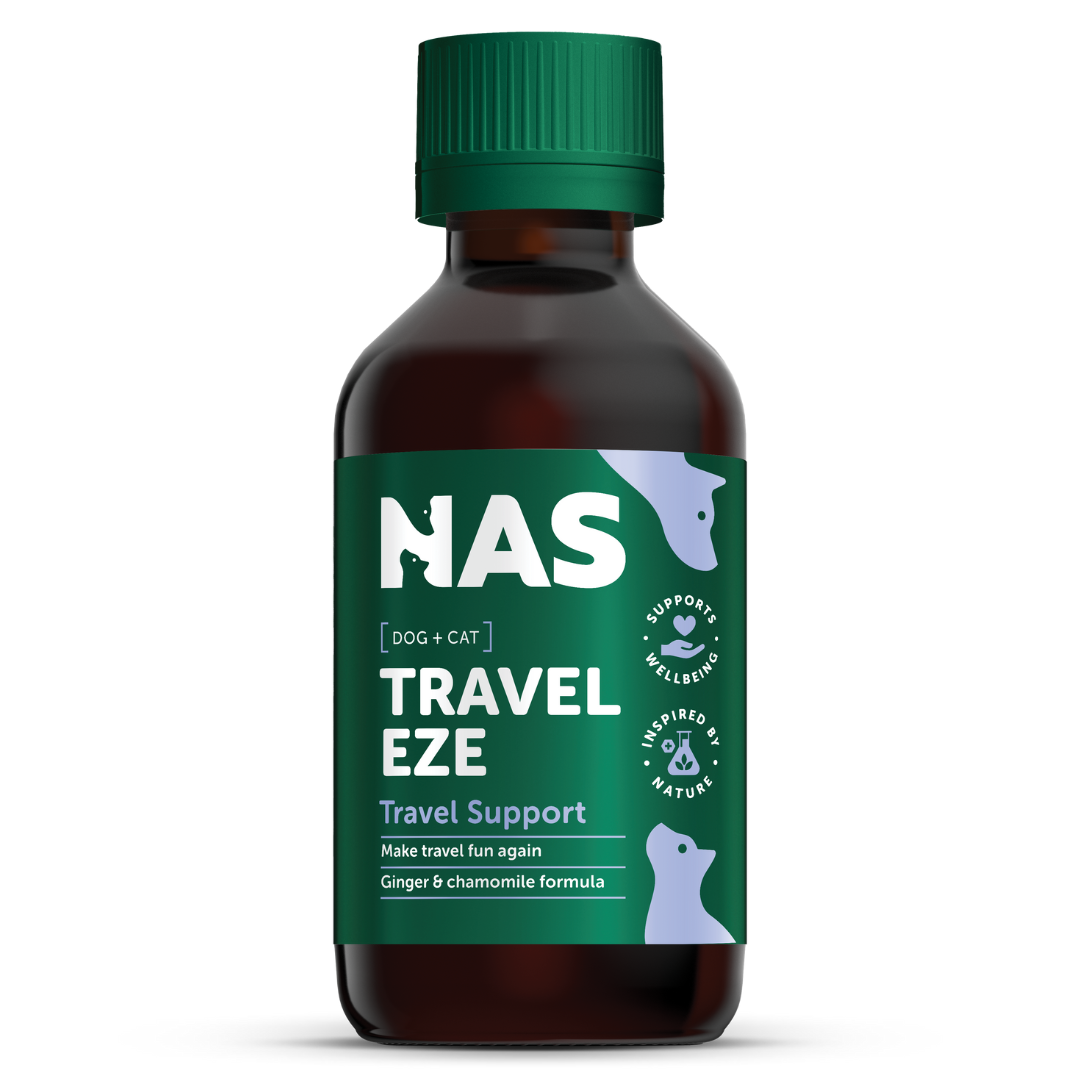 NAS TravelEze