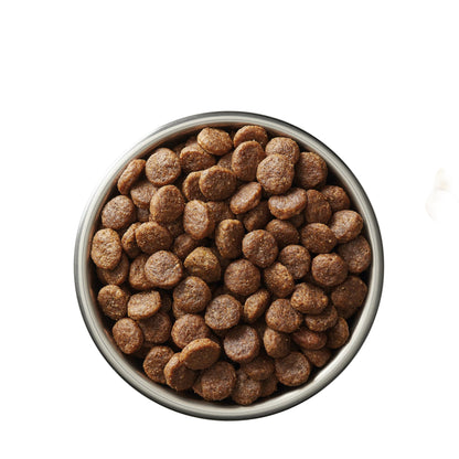 Ivory Coat Dog Mature Grain Free Turkey 13kg