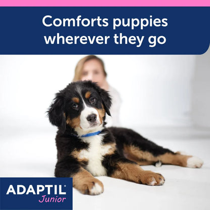 Adaptil Collar Junior