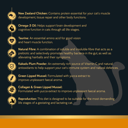 Talentail Ultimate New Zealand Chicken Cat