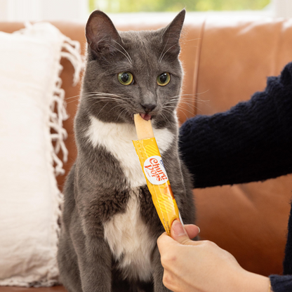 INABA Cat Churu Pops Tuna with Chicken 60g (6pk)