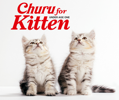 INABA Cat Churu Puree Kitten Chicken 56g (6pk)