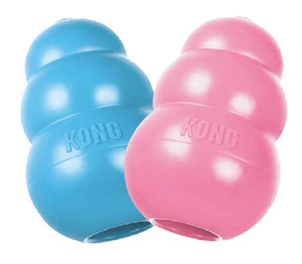 KONG Puppy