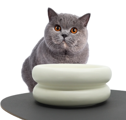 Pryde Pets Ceramic Dining Bowl - Elevated