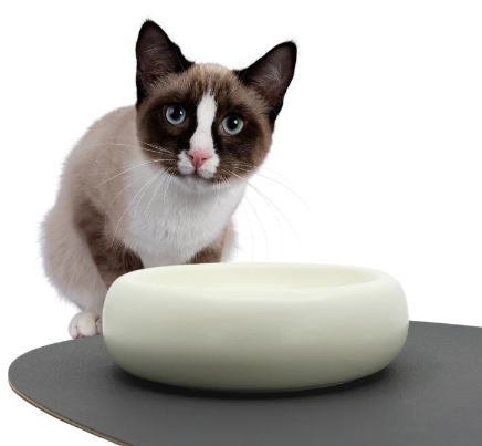 Pryde Pets Ceramic Dining Bowl