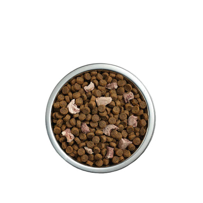 Ivory Coat Raw Health Cat Indoor & Hairball