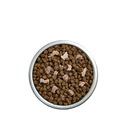 Ivory Coat Raw Health Kitten Immunity