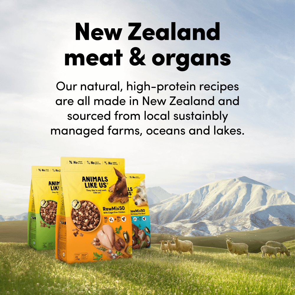 Animals Like Us Dog Rawmix50 Grass-Fed Lamb