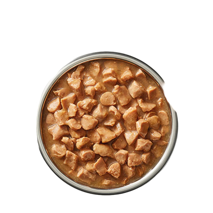 Ivory Coat Cat Adult Chicken & Kangaroo in Gravy 85g (12pk)