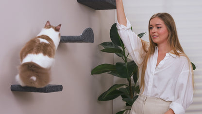 Pryde Pets Wall Meow-nted Cat Climbers Add-On Covers - Set of 4 Façades