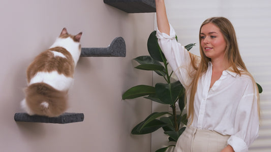 Pryde Pets Wall Meow-nted Cat Climbers Add-On Covers - Set of 4 Façades