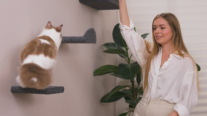 Pryde Pets Wall Meow-nted Cat Climbers - Set of 4 Shelves