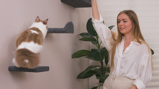 Pryde Pets Wall Meow-nted Cat Climbers - Set of 4 Shelves